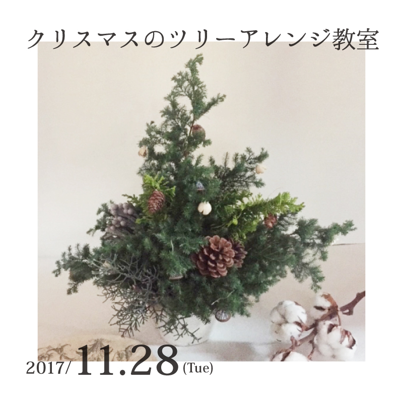 クリスマスのツリーアレンジ教室