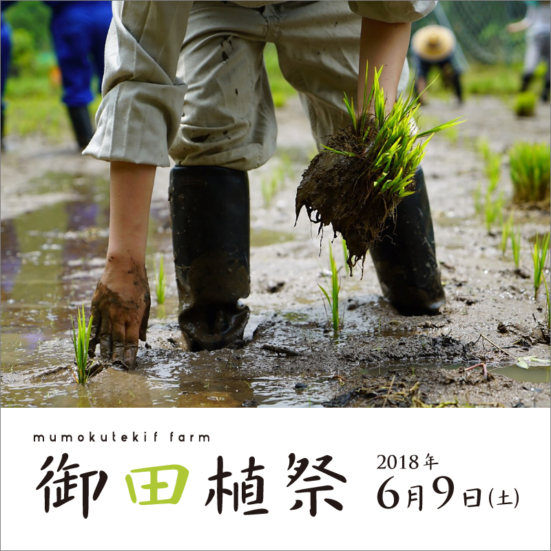 mumokuteki farm 御田植祭