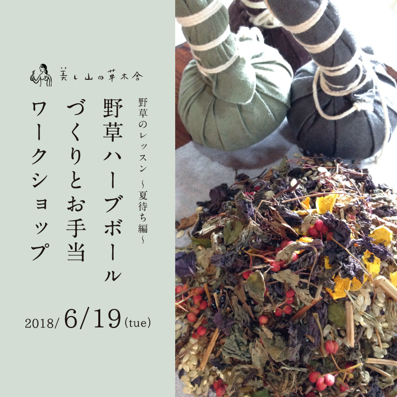 美し山の草木舎  野草ハーブボールづくりとお手当ワークショップ