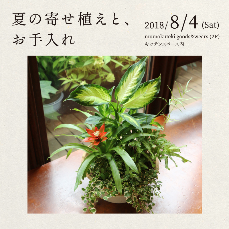 夏の寄せ植えと、お手入れ
