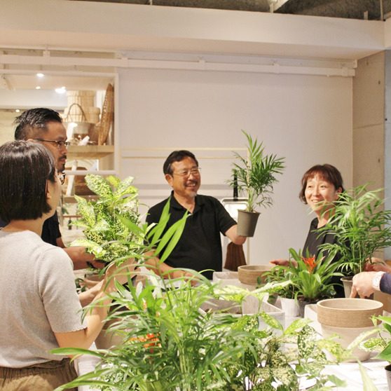 夏の寄せ植えと、お手入れ　8月4日レポート