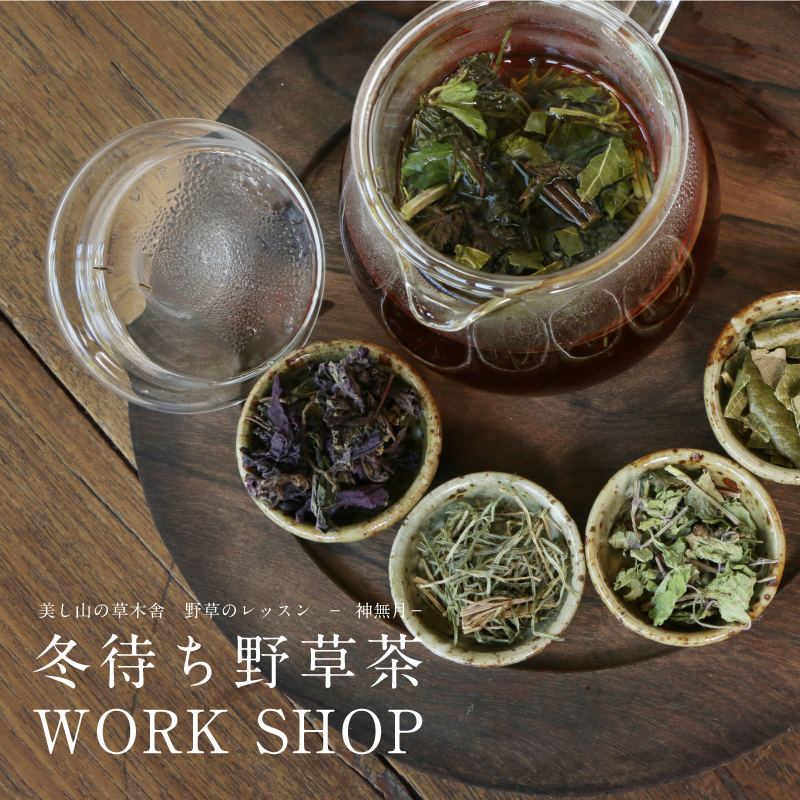 美し山の草木舎　野草のレッスン – 神無月 -　冬待ち野草茶ワークショップ