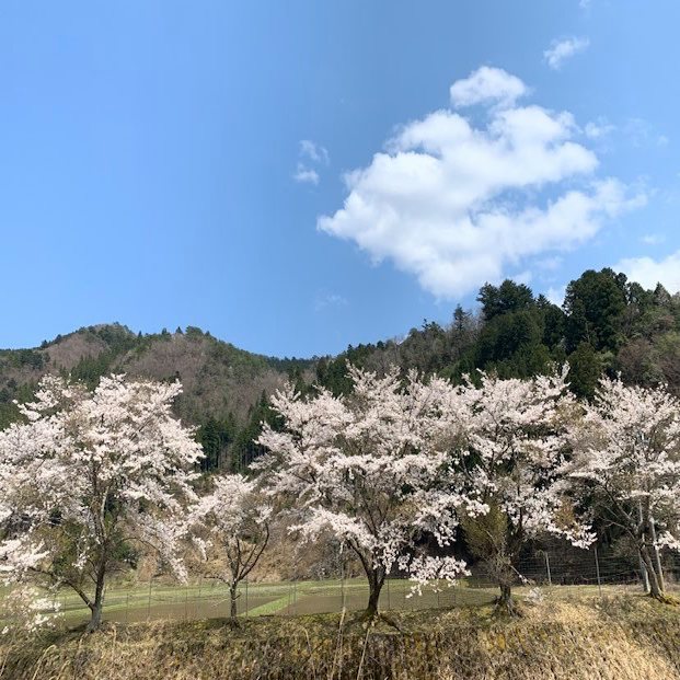 mumokuteki farmのブログ始めます！