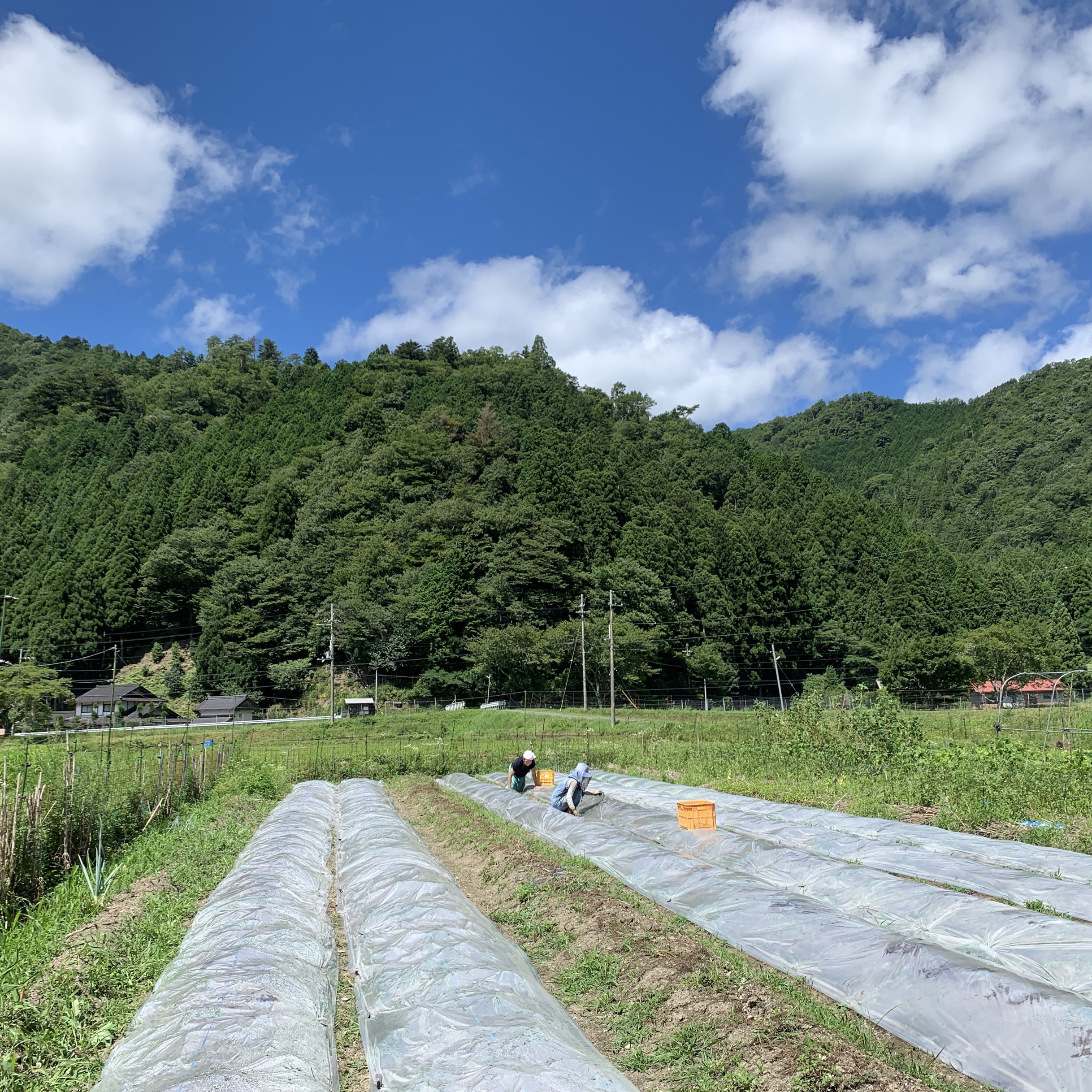 FMラジオ出演のお知らせ